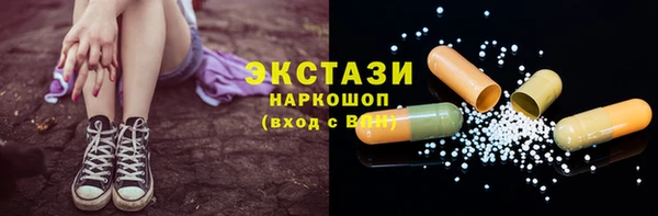 индика Тутаев