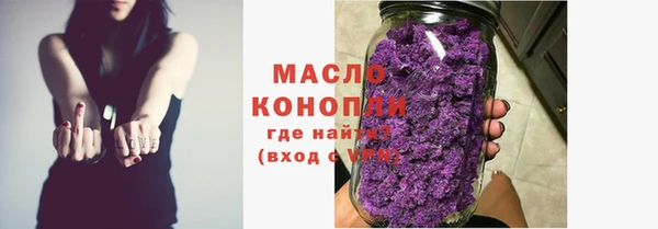 mix Богородицк