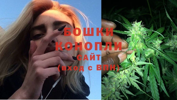 mix Богородицк