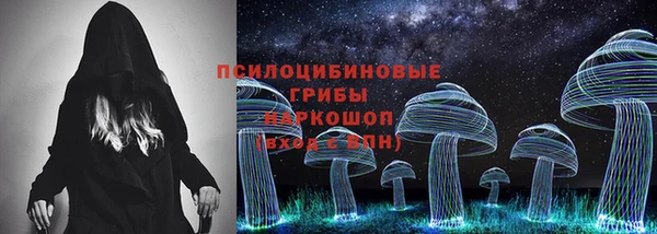 mix Богородицк