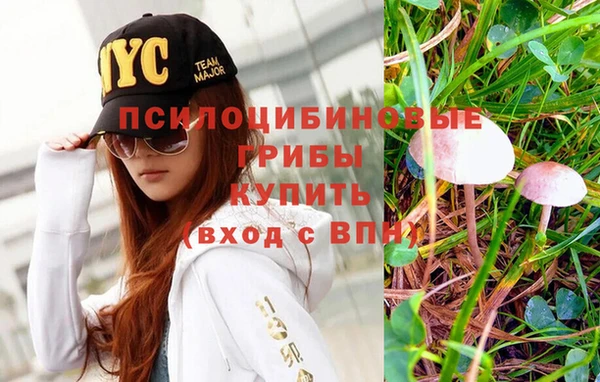 марки nbome Бугульма